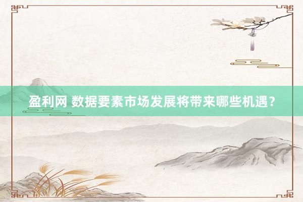 盈利网 数据要素市场发展将带来哪些机遇？