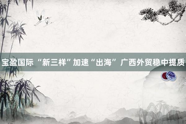 宝盈国际 “新三样”加速“出海” 广西外贸稳中提质