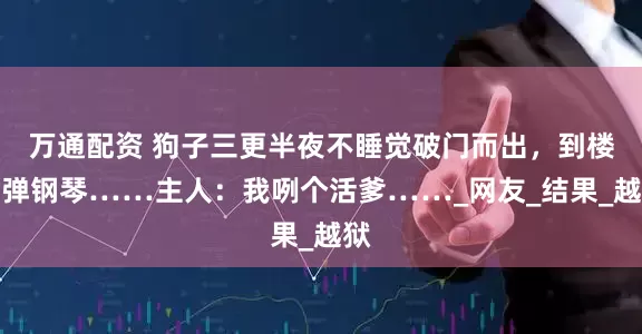 万通配资 狗子三更半夜不睡觉破门而出，到楼上弹钢琴……主人：我咧个活爹……_网友_结果_越狱