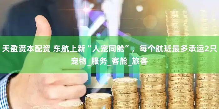 天盈资本配资 东航上新“人宠同舱”，每个航班最多承运2只宠物_服务_客舱_旅客