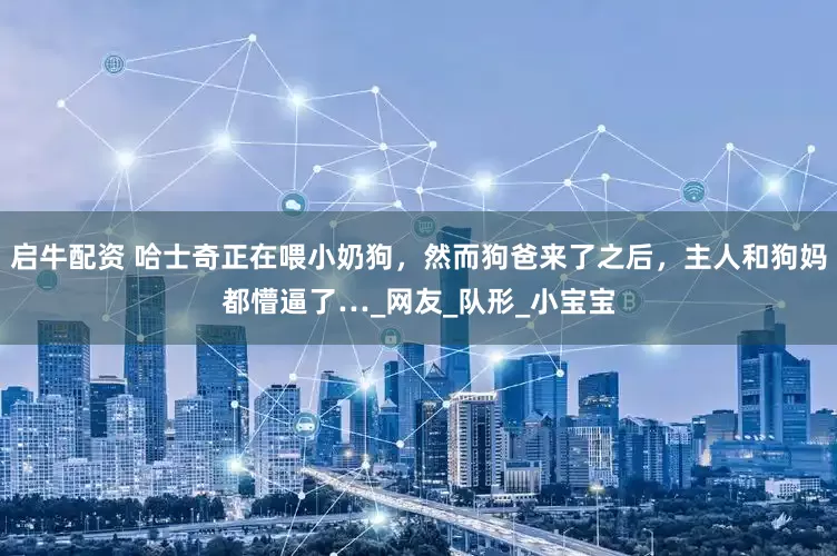 启牛配资 哈士奇正在喂小奶狗，然而狗爸来了之后，主人和狗妈都懵逼了…_网友_队形_小宝宝