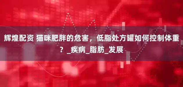 辉煌配资 猫咪肥胖的危害，低脂处方罐如何控制体重？_疾病_脂肪_发展