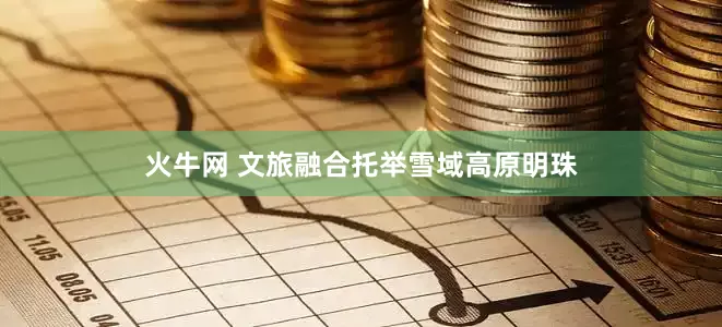 火牛网 文旅融合托举雪域高原明珠