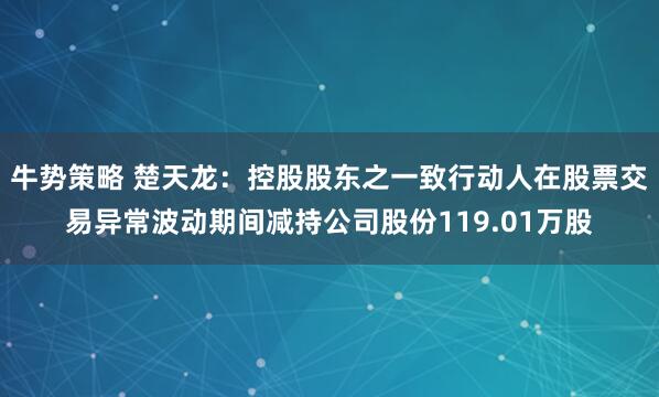 牛势策略 楚天龙：控股股东之一致行动人在股票交易异常波动期间减持公司股份119.01万股