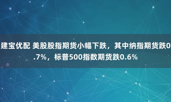 建宝优配 美股股指期货小幅下跌，其中纳指期货跌0.7%，标普500指数期货跌0.6%